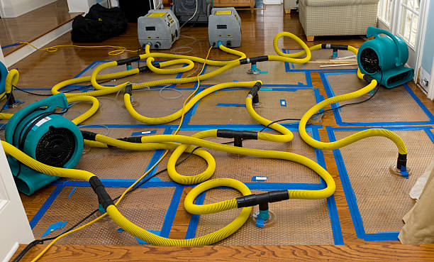 Professional Flood Damage Restoration technician working in Highland, AR